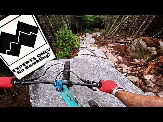 1.5 Hours of Bumbling And Fumbling Down Mountain Bike Trails  [4K]