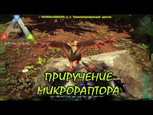 ARK: Survival Evolved - #7 Приручение Микрораптора