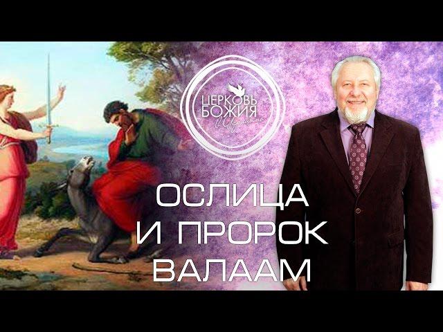 Ослица и пророк Валаам - 17 января 2016 года - Сергей Ряховский