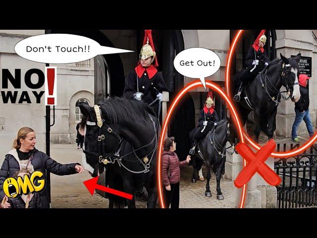 The Lady Guard Reacts immediately when disrespectful tourists suddenly touched the horse!