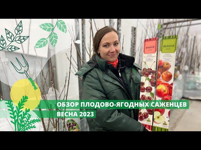 Обзор плодово-ягодных саженцев ВЕСНА 2023!