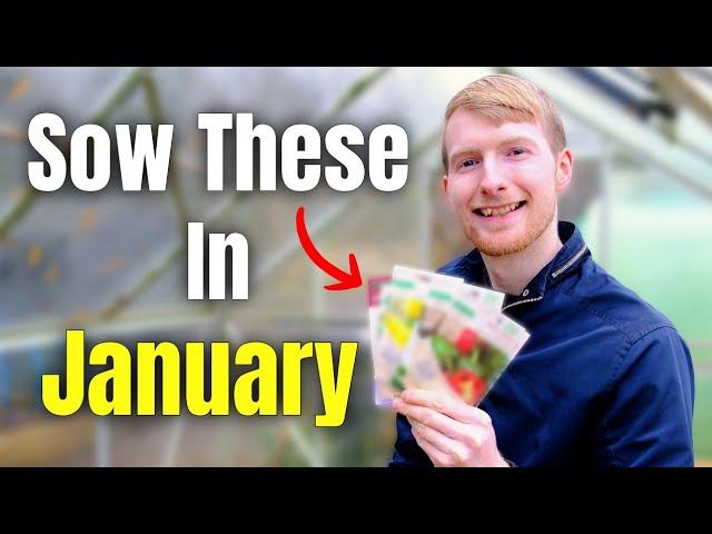 You MUST Sow These Seeds In January | Gardening For Beginners