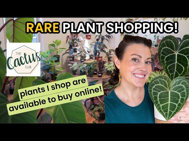 NEW! PLANT FRIENDS CAN BUY WHAT I SHOP! Plant Shopping At Cactus Club - Houseplants & Indoor Plants