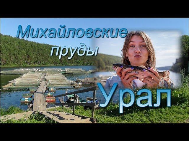 Урал  Михайловск  Необычная плотина и речная форель