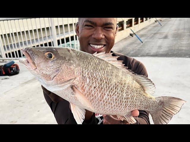 SECRET Bridge Technique for BIG SNAPPER! (FL Keys Bridge Fishing)