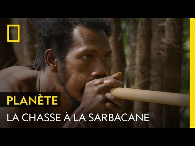 Apprendre à chasser à la sarbacane