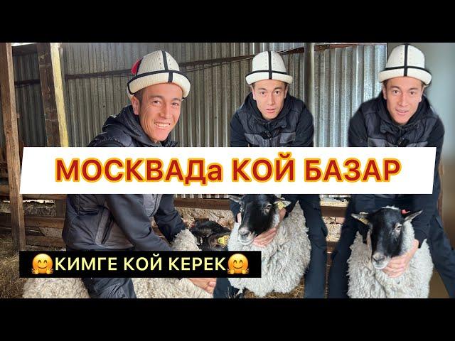 КИМГЕ КОЙ КЕРЕК МЫНА МОСКВАДА КОЙ МАЛ БАЗАР ТЕЛ +79096848222+79269935252