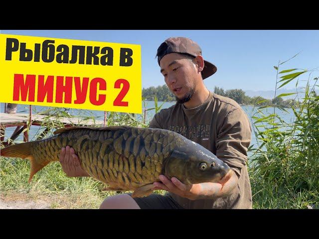 Рыбалка близ Алматы, Осень 2021, ловля КАРПА в минусовую температуру #carpfishing #fishing2021