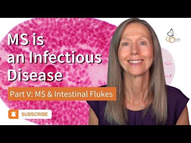 MS is an Infectious Disease Part 5: MS and Intestinal Flukes  |  Pam Bartha