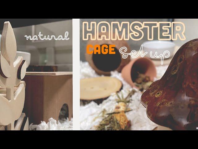 setting up our hamster enclosure - natural hamster cage setup + diy hamster hideouts