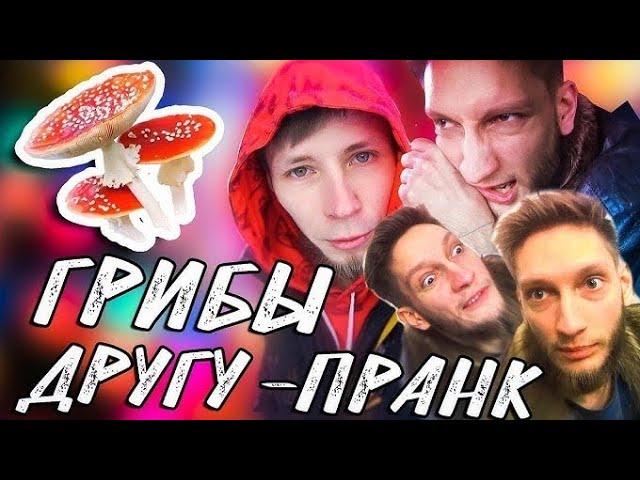 ПОДСЫПАЛ ГРИБЫ ДРУГУ ПРАНК- ДРУГА УШАТАЛО