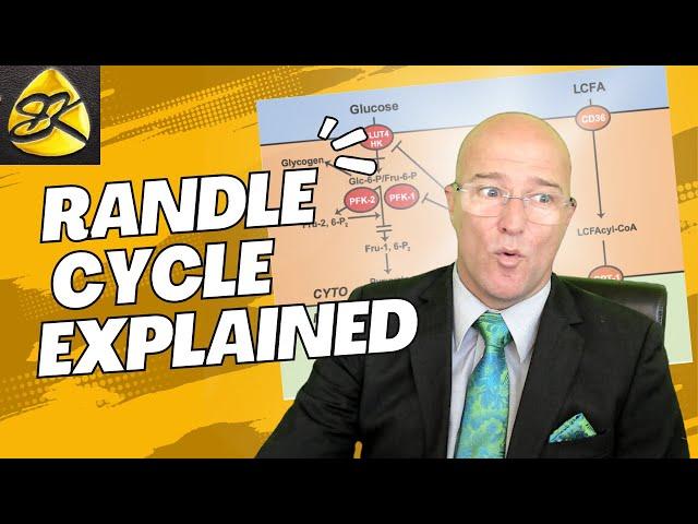 Insulin Resistance & Randle Cycle EXPLAINED (Prof. Bart Kay & Eddie Goeke).