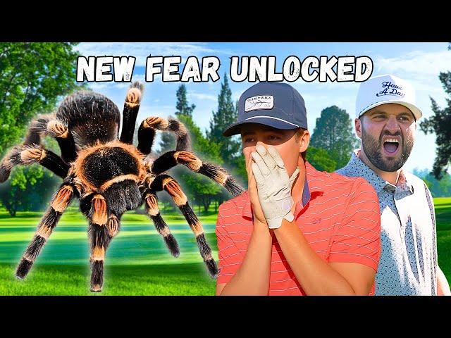 He Got Bit By A Massive Spider On His Face | Moments Of The Week