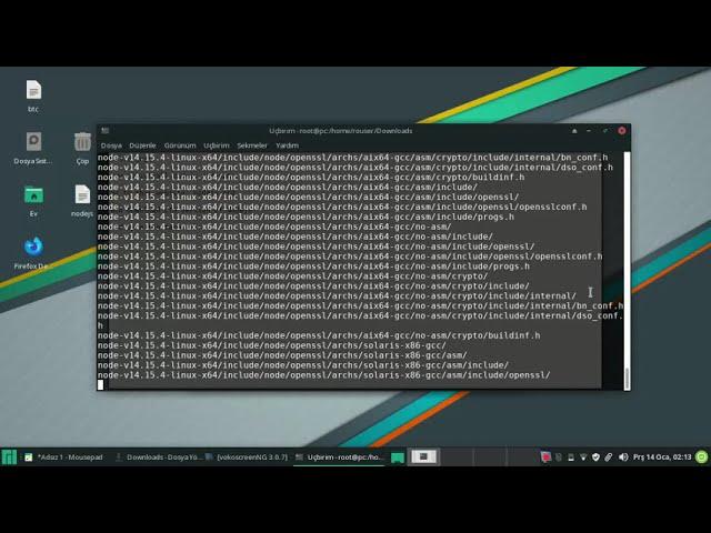 how to manual install nodejs, npm on manjaro xfce