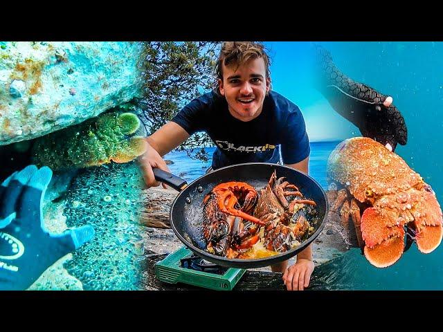 Lobster Vs Lobster Catch And Cook