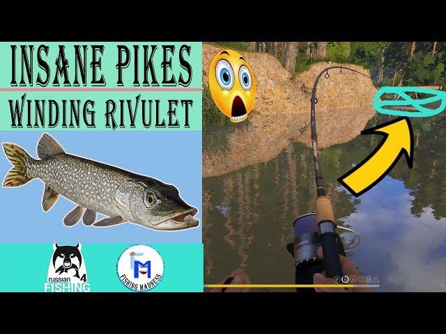 Big Pikes - Best Spot on Winding Rivulet [Russian Fishing 4]