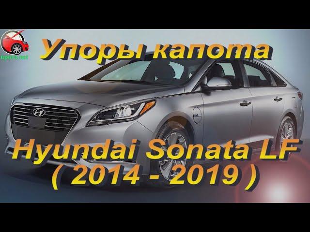 Установка упоров / амортизаторов капота на Hyundai Sonata LF / Хюндай Соната 7 (www.upora.net)