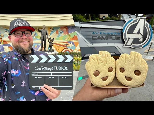 Walt Disney Studios Park 2025 | Best Rides, Food & BIG Changes: Disneyland Paris Guide | Disney Park
