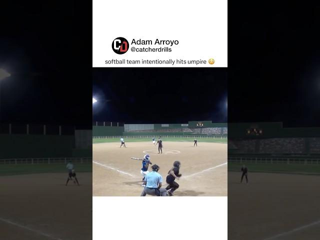 Softball team hits umpire #baseball