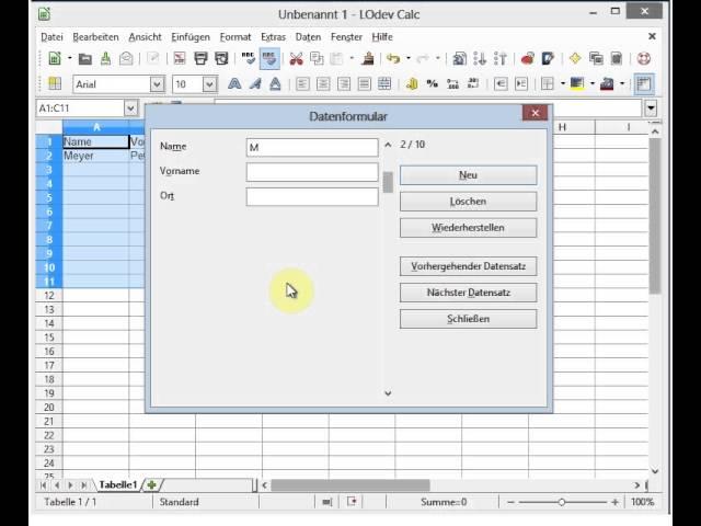 LibreOffice Calc - Dateneingabe über ein Formular