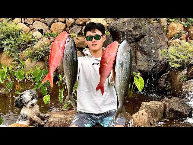 ACTION Day Of Spearfishing And Fishing! | Catching Ukus, Goats, Nabeta, And More! | Catch And Cook