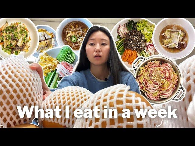 Turning my KOREAN GROCERY HAUL into Easy meals!