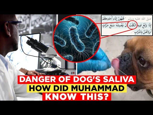 THIS AMERICAN SCIENTIST CONVERTED TO ISLAM AFTER RESEARCHING THE DOG'S SALIVA || Islam And Intellect