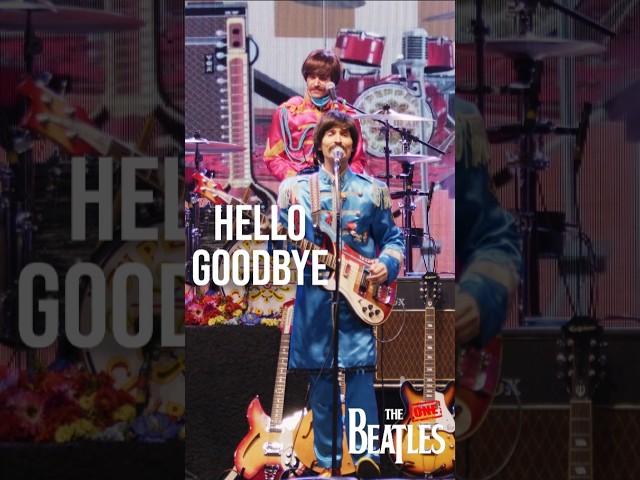 The Beatles One - Hello, Goodbye