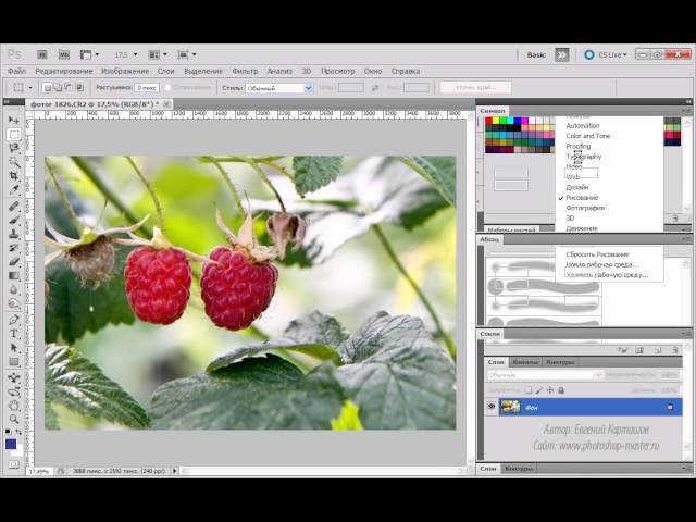 1. Знакомство с Adobe Photoshop CS5 ( 1.6 Рабочие среды )