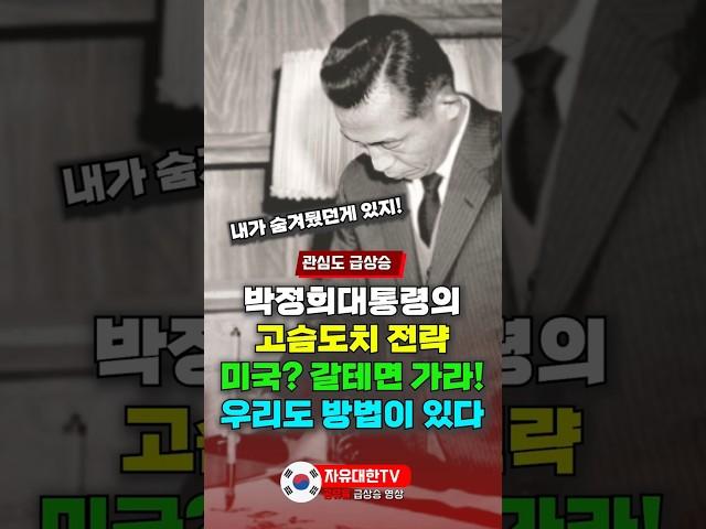 박정희 대통령의 고슴도치 전략, 미국? 갈테면 가라! 우리도 방법이 있다!