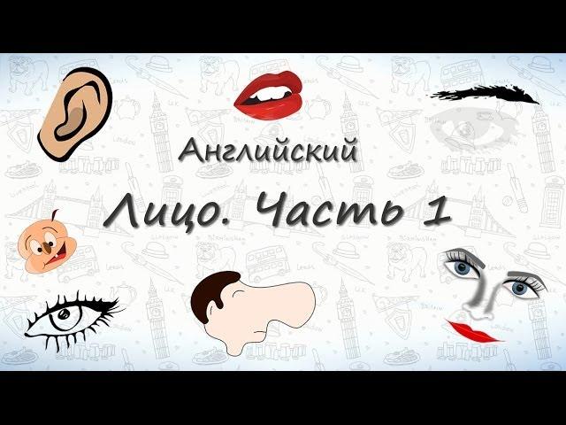 Части лица на английском (часть 1). Запоминаем части лица на английском