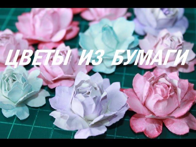 Скрапбукинг// Цветы из бумаги