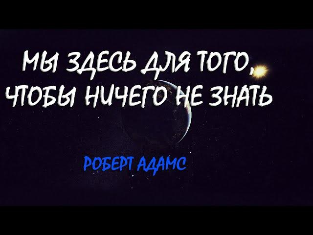 Мы здесь для того чтобы ничего не знать [Р. Адамс, Nik Osho]