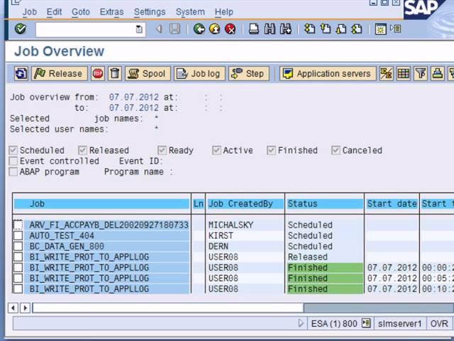 SAP BASIS Training Videos; Introduction to SAP System Administration (Basis)