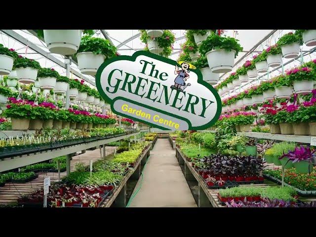 The Greenery Garden Centre - Spring Flowers