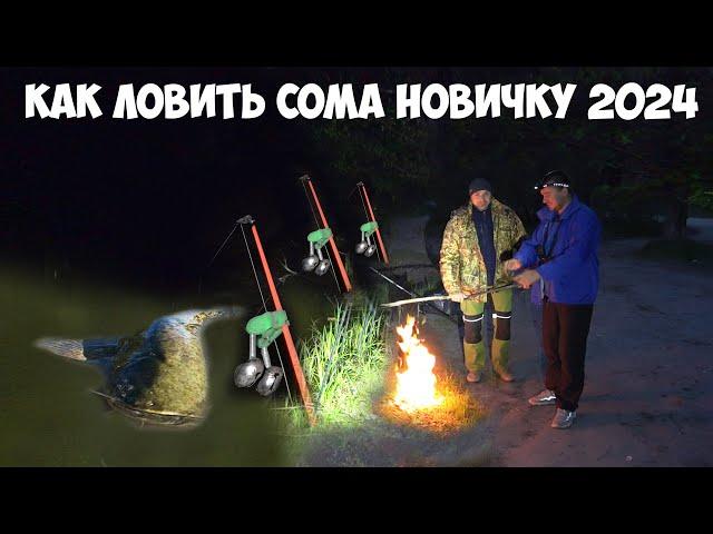 КАК ЛОВИТЬ СОМА НОВИЧКУ!!! РЫБАЛКА на СОМА ЛЕТОМ ДОНКОЙ с БЕРЕГА