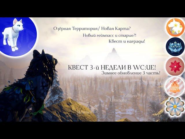 КВЕСТ 3-й НЕДЕЛИ ЗИМНЕГО ОБНОВЛЕНИЯ В WC:UE! | Полный Обзор/Рассказ | Warrior Cats: Ultimate Edition