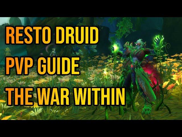 Resto Druid PvP Guide - The War Within