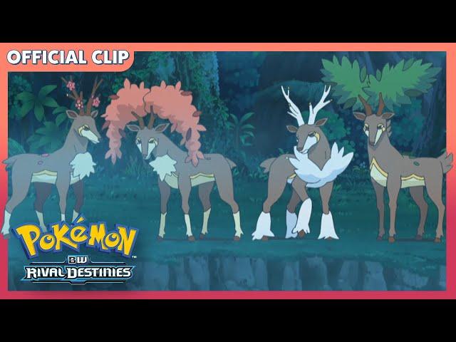 Searching for Sawsbuck! | Pokémon: Black & White: Rival Destinies | Official Clip