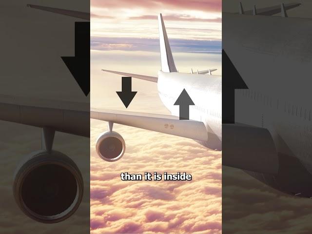 Why Airplane Windows Have Tiny Holes  (EXPLAINED)