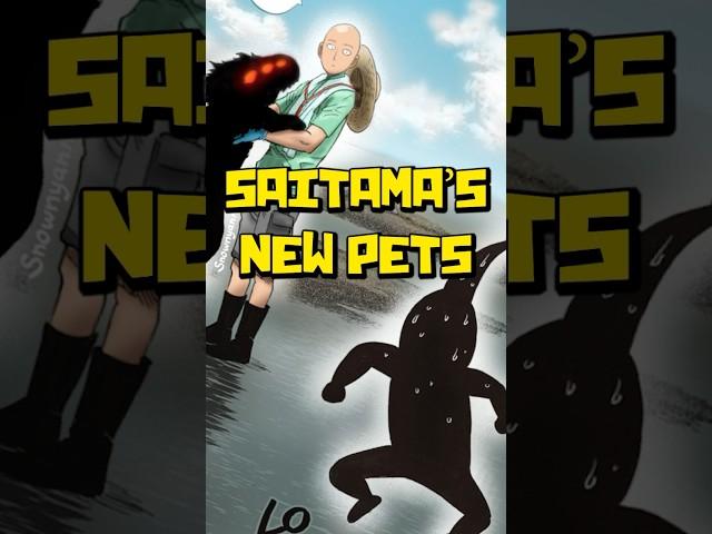 Saitama Adopts a Dragon Level Monster | One Punch Man Manga Saitama's Monkey Explained