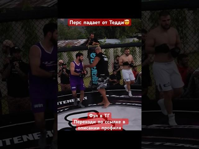 #popmma #alfreality #alfredo #alfglobal #popmmarussia #hypereality #hypefighting