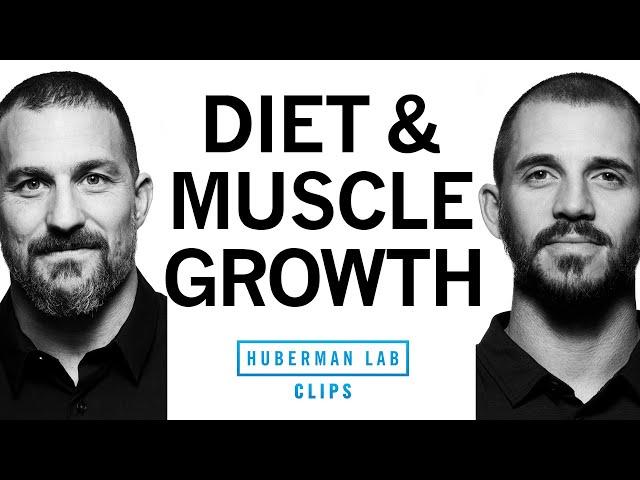 Diet & Supplementation for Muscle Growth | Dr. Andy Galpin & Dr. Andrew Huberman