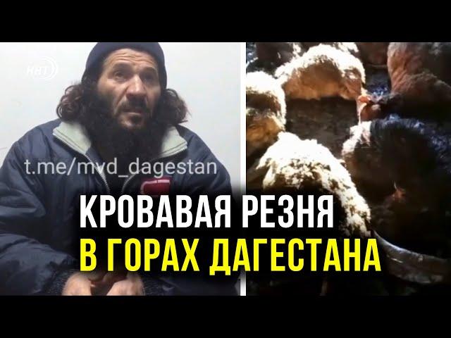 Житель Дагестана устроил кровавую резню в сарае