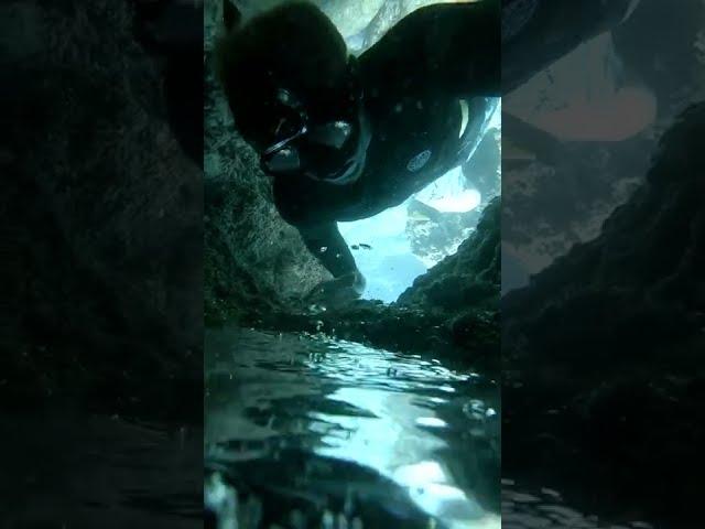 Diver discovers mysterious underwater puddle of unknown fluid #shorts