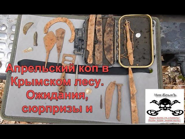 Апрельский коп в Крымском лесу. Что можно найти и кого встретить в горах Крыма