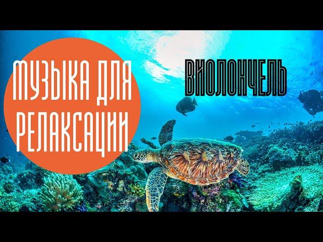 РЕЛАКСАЦИЯ 4K / МУЗЫКА для снятия усталости /ВИОЛОНЧЕЛЬ