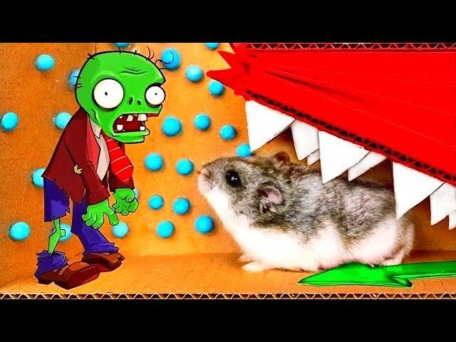 ZOMBIE Hamster Maze with Traps [OBSTACLE COURSE] + BONUS