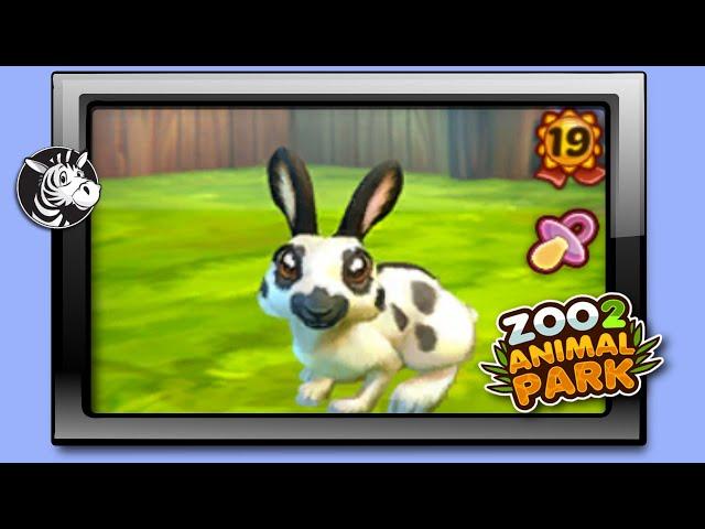 step by step how to breed to maximize increasing color variants levels - #zoo2animalparkonline