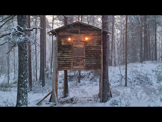 Bushcraft Camping at My Insulated and Warm Treehouse